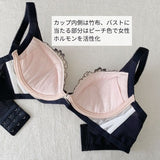 プレミアムハピネス　アプリコット