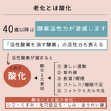　フラーレン　スキンセラム(フェイス用美容液）60ml