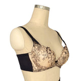 プレミアムハピネス　アプリコット